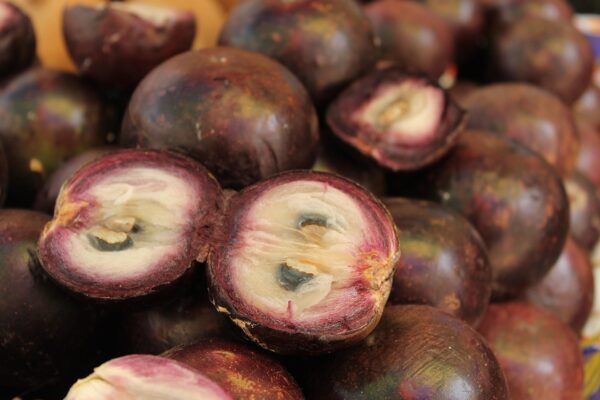 mangostino, asia, colombia, purple, white, exotic, food, fresh, fruit, healthy, mangosteen, delicious, sweet, tropical, mangostino, mangosteen, mangosteen, mangosteen, mangosteen, mangosteen