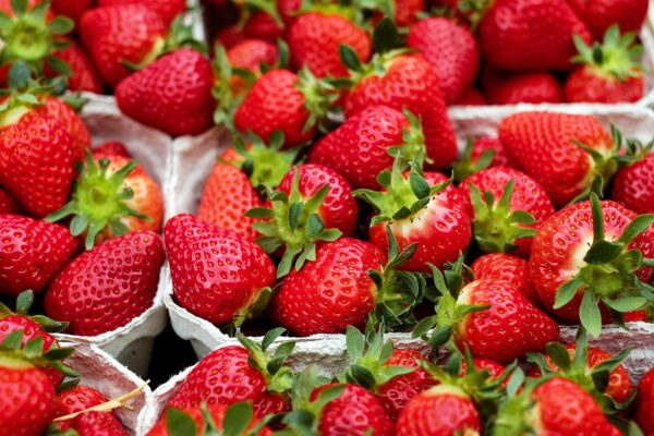 strawberries, fruit, red, ripe, cute, yummy, food, fresh, berry, juicy, nourishment, vitamins, market, strawberries, strawberries, strawberries, strawberries, strawberries