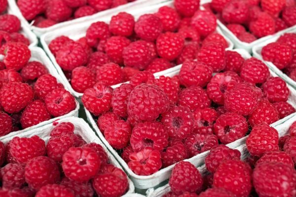 raspberries, close up, red, fruits, fresh, ripe, fresh raspberries, berries, fresh berries, ripe berries, ripe raspberries, produce, harvest, organic, fresh produce, food background, sweet, delicious, healthy, fruit stand, raspberries, raspberries, raspberries, raspberries, raspberries, food background